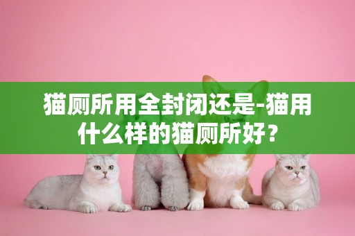 貓廁所用全封閉還是-貓用什么樣的貓廁所好？