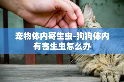 寵物體內寄生蟲-狗狗體內有寄生蟲怎么辦