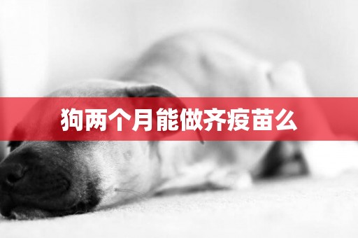 狗兩個月能做齊疫苗么