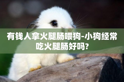 有錢人拿火腿腸喂狗-小狗經常吃火腿腸好嗎?