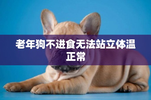 老年狗不進食無法站立體溫正常