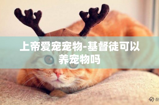 上帝愛寵寵物-基督徒可以養寵物嗎