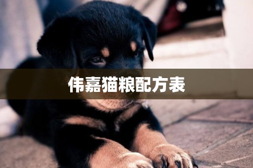 偉嘉貓糧配方表