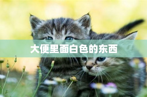 大便里面白色的東西