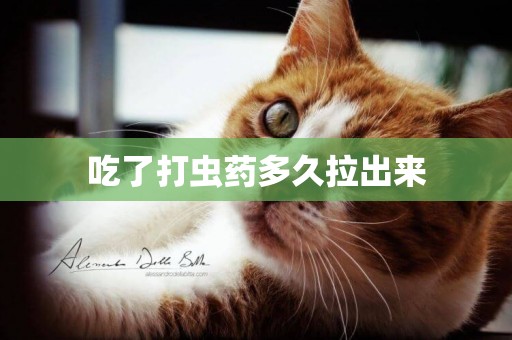 吃了打蟲藥多久拉出來