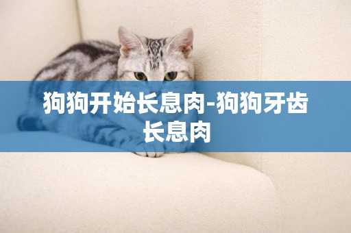 狗狗開始長息肉-狗狗牙齒長息肉