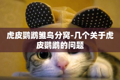 虎皮鸚鵡雛鳥分窩-幾個關于虎皮鸚鵡的問題