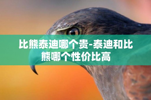 比熊泰迪哪個貴-泰迪和比熊哪個性價比高