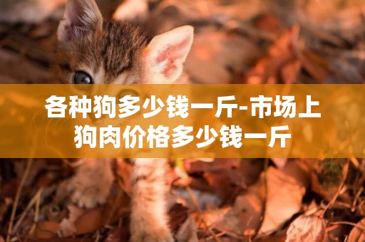 各種狗多少錢一斤-市場上狗肉價格多少錢一斤