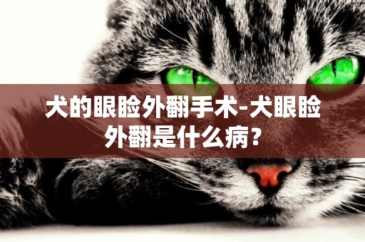 犬的眼瞼外翻手術-犬眼瞼外翻是什么病？