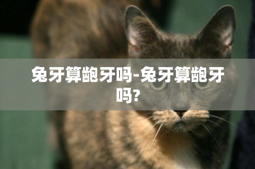 兔牙算齙牙嗎-兔牙算齙牙嗎?