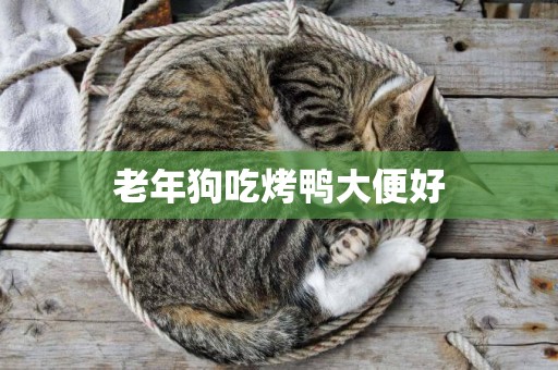 老年狗吃烤鴨大便好