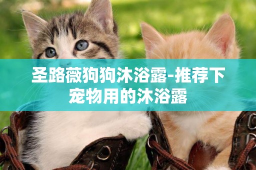 圣路薇狗狗沐浴露-推薦下寵物用的沐浴露