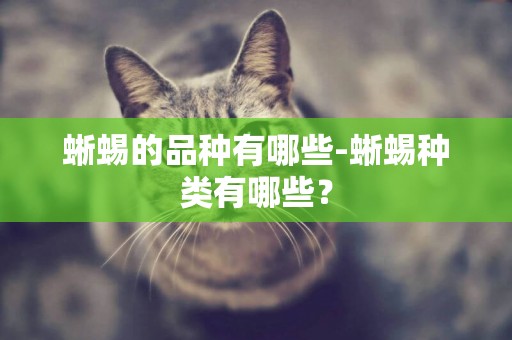 蜥蜴的品種有哪些-蜥蜴種類有哪些？