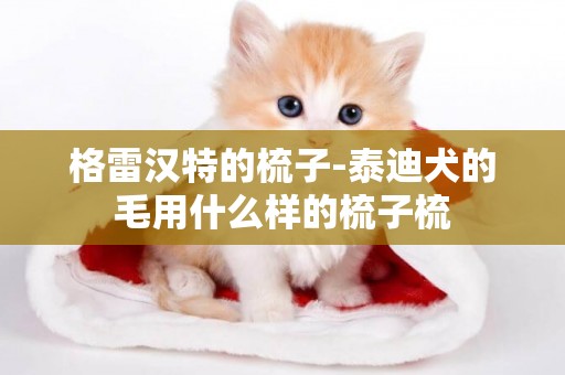格雷漢特的梳子-泰迪犬的毛用什么樣的梳子梳