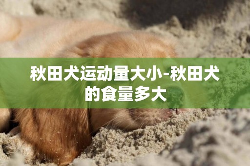 秋田犬運動量大小-秋田犬的食量多大