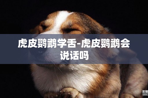 虎皮鸚鵡學舌-虎皮鸚鵡會說話嗎