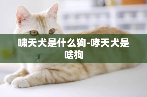 嘯天犬是什么狗-哮天犬是啥狗
