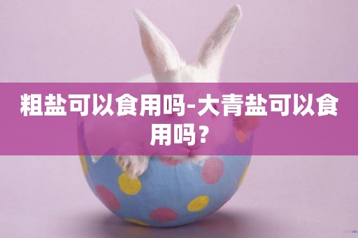 粗鹽可以食用嗎-大青鹽可以食用嗎？