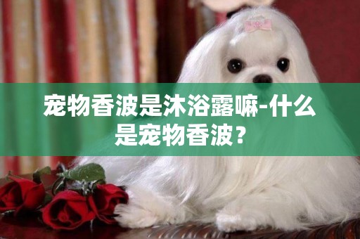寵物香波是沐浴露嘛-什么是寵物香波？