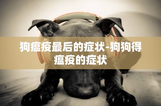 狗瘟疫最后的癥狀-狗狗得瘟疫的癥狀