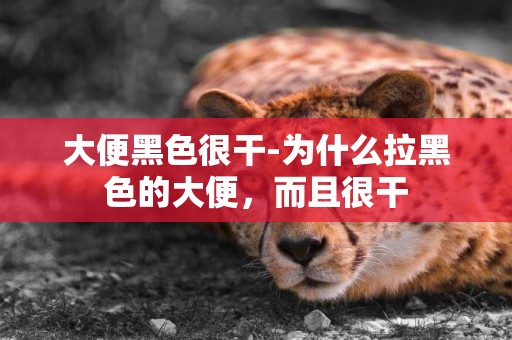 大便黑色很干-為什么拉黑色的大便，而且很干