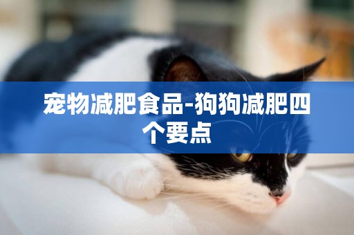寵物減肥食品-狗狗減肥四個要點