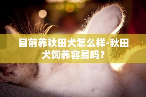 目前養秋田犬怎么樣-秋田犬飼養容易嗎？