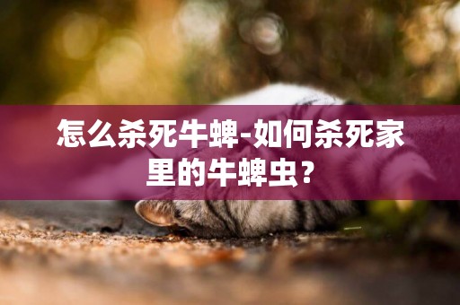 怎么殺死牛蜱-如何殺死家里的牛蜱蟲？