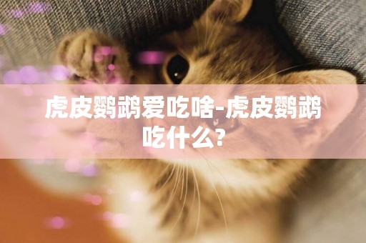 虎皮鸚鵡愛吃啥-虎皮鸚鵡吃什么?