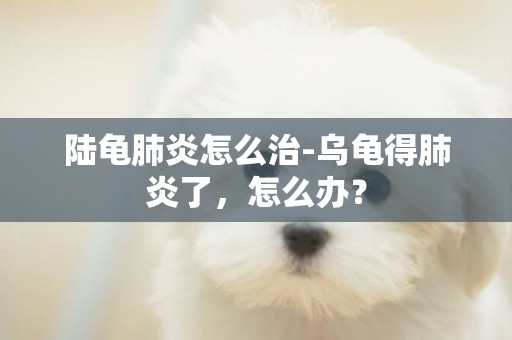 陸龜肺炎怎么治-烏龜得肺炎了，怎么辦？