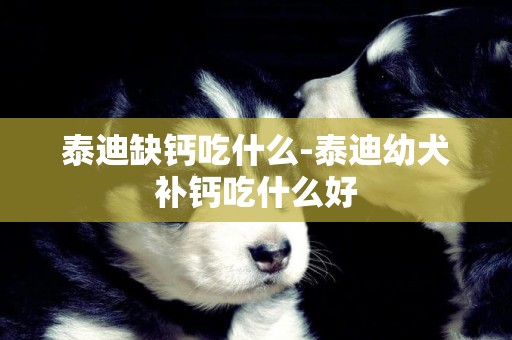 泰迪缺鈣吃什么-泰迪幼犬補鈣吃什么好