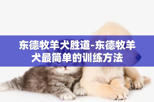 東德牧羊犬勝道-東德牧羊犬最簡單的訓練方法