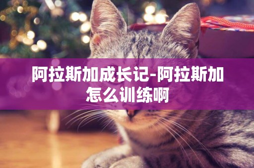 阿拉斯加成長記-阿拉斯加怎么訓練啊
