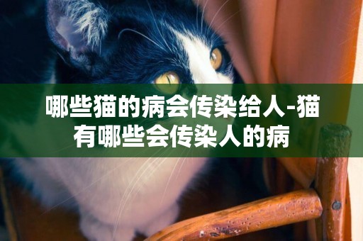 哪些貓的病會傳染給人-貓有哪些會傳染人的病