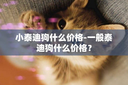 小泰迪狗什么價格-一般泰迪狗什么價格？