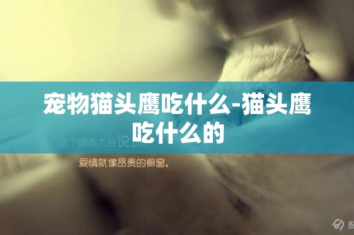 寵物貓頭鷹吃什么-貓頭鷹吃什么的
