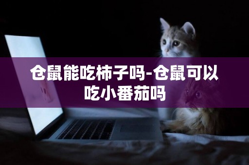 倉鼠能吃柿子嗎-倉鼠可以吃小番茄嗎