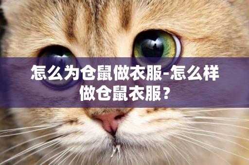 怎么為倉鼠做衣服-怎么樣做倉鼠衣服？