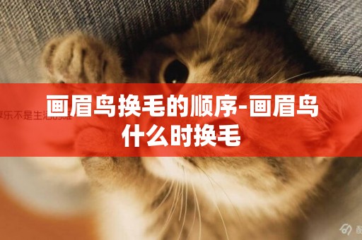 畫眉鳥換毛的順序-畫眉鳥什么時換毛
