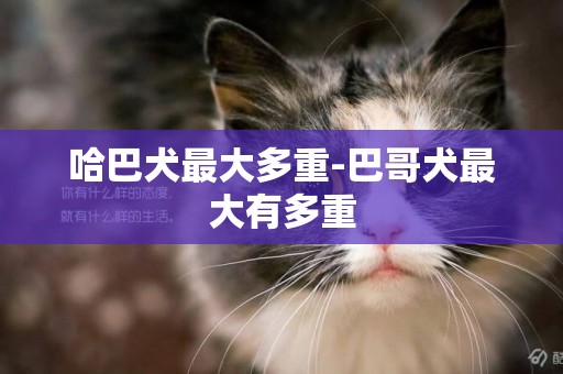 哈巴犬最大多重-巴哥犬最大有多重