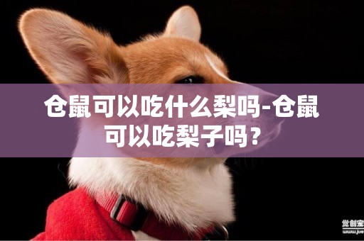 倉鼠可以吃什么梨嗎-倉鼠可以吃梨子嗎？