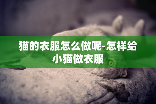 貓的衣服怎么做呢-怎樣給小貓做衣服