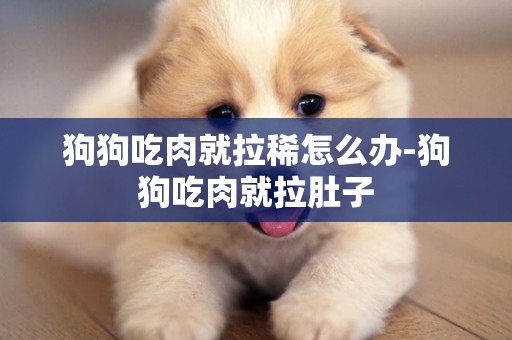 狗狗吃肉就拉稀怎么辦-狗狗吃肉就拉肚子
