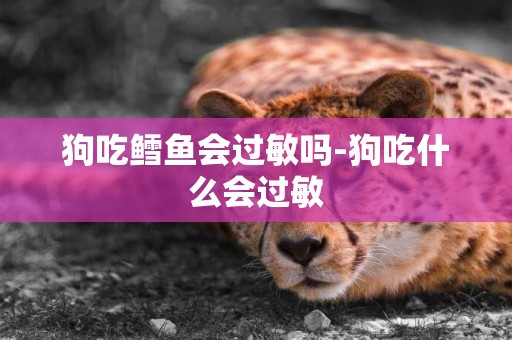 狗吃鱈魚會過敏嗎-狗吃什么會過敏