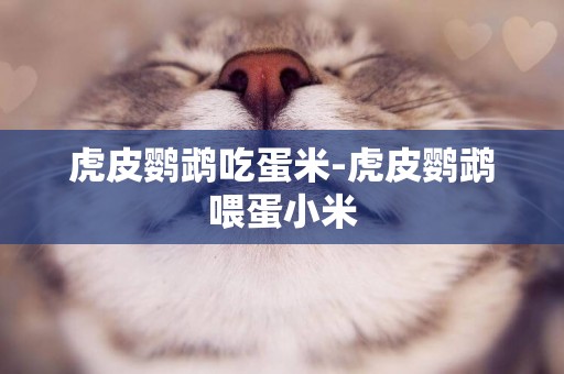 虎皮鸚鵡吃蛋米-虎皮鸚鵡喂蛋小米