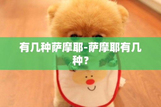 有幾種薩摩耶-薩摩耶有幾種？