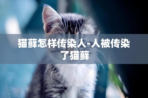 貓蘚怎樣傳染人-人被傳染了貓蘚