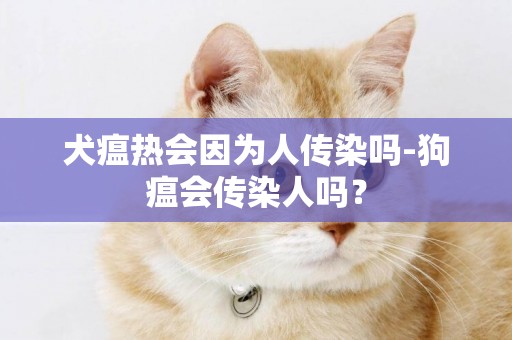 犬瘟熱會因為人傳染嗎-狗瘟會傳染人嗎？