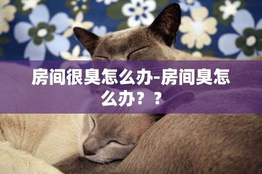 房間很臭怎么辦-房間臭怎么辦？？